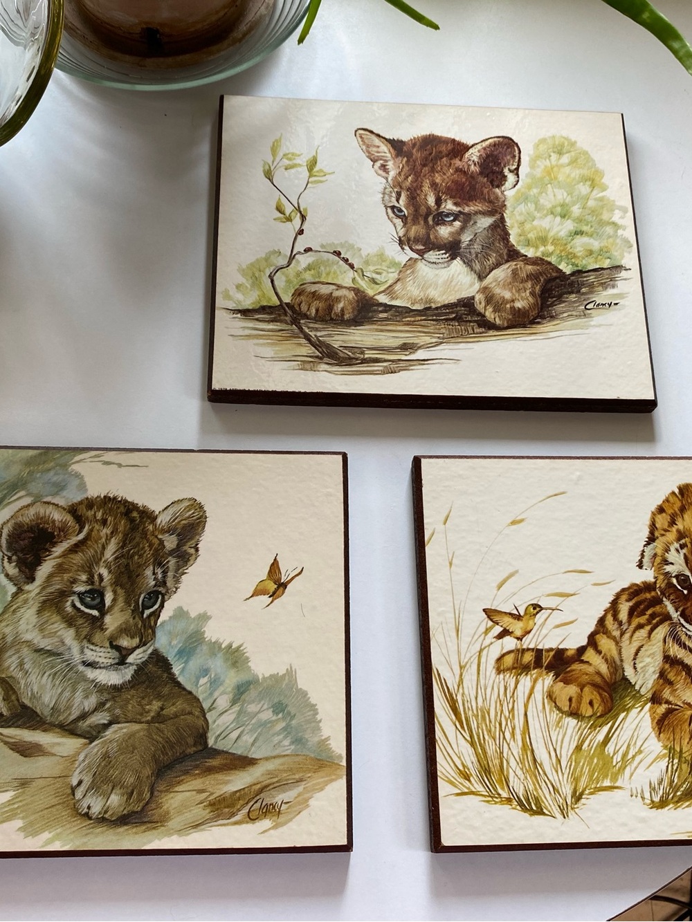 Lion Cub Cat Wall Decor